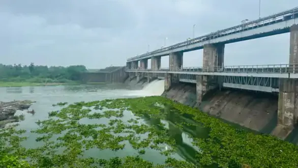 botad-rain-news-khambhada-dam-water-release-riverbank-villages-alert
