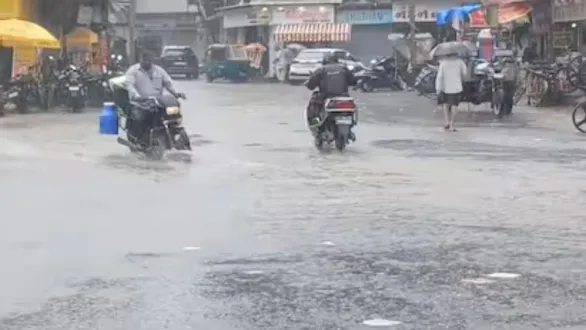 junagadh-monsoon-rain-visavadar-highest-rain-1-38-inch-farmers-relief