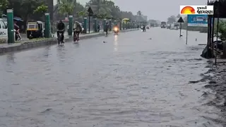 Narmada Rainfall Report: નર્મદા જિલ્લામાં ધોધમાર વરસાદ, ગરુડેશ્વરમાં સૌથી વધુ 218 mm નોંધાયો