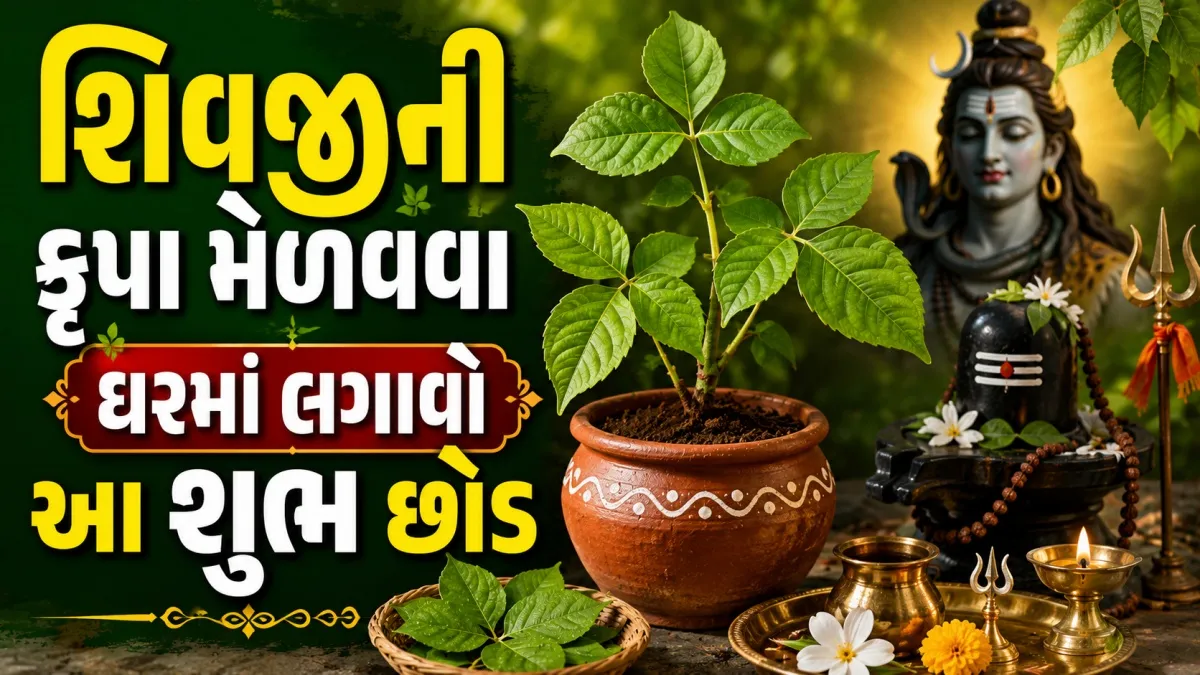 શ્રાવણ મહિનામાં બેલપત્રનો છોડ લગાવવાથી સુખ-સમૃદ્ધિ વધે છે
