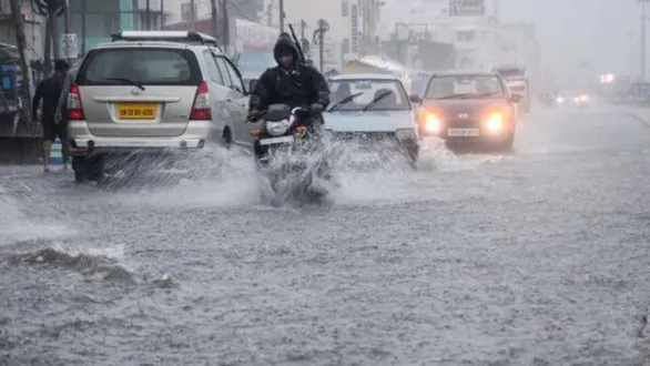 valsad-rainfall-report-kaprada-records-highest-1-73-inch-rain-nanapondha-dharampur