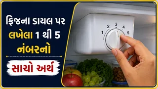 ફ્રિજના ડાયલ પર લખેલા 1 થી 5 નંબરનો સાચો અર્થ અને તેનો યોગ્ય ઉપયોગ