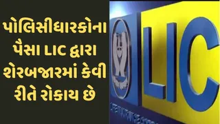 LIC Investment: LIC પોલિસીધારકોના પૈસાનું રોકાણ કેવી રીતે કરે છે? કંપનીઓ, શેરોની પસંદગી કેવી રીતે થાય છે તે અંગે સરકારે સંસદમાં આપ્યો જવાબ