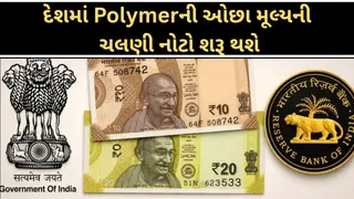 RBI Polymer Currency Notes:દેશમાં ક્યારથી પ્લાસ્ટિકની ચલણી નોટ શરૂ થશે? RBI ગવર્નર મલ્હોત્રાએ આપી માહિતી
