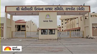 Rajkot APMC Price: રાજકોટ માર્કેટ યાર્ડના બજાર ભાવ: જીરું, લસણ અને શાકભાજીના ભાવમાં જોવા મળ્યો મોટો ફેરફાર