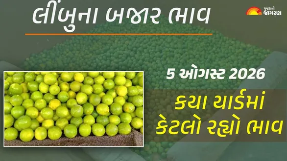 lemon-prices-in-gujarat-5-august-2026-today-nimbu-mandi-bhav-regional-apmc-rates-market-trends-live-updates
