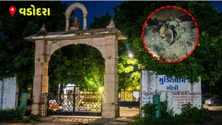 Vadodara: ગોત્રી સ્મશાન બહાર કચરાપેટીમાં સળગેલી હાલતમાં મળ્યો શંકાસ્પદ કંકાલ, પોલીસ તપાસ શરૂ