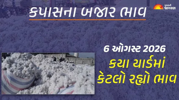 cotton-market-price-gujarat-to-day-6-august-2026-kapas-rate-live-updates