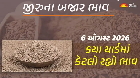 jeera-price-today-gujarat-6-august-2026-latest-mandi-prices-unjha-market-yard-bhav-live-updates