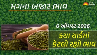 Green Gram Prices in Gujarat (6 August 2026): ગુજરાતમાં મગના આજના બજાર ભાવ, જાણો કયા યાર્ડમાં ઊંચા નીચા ભાવ શું રહ્યા?