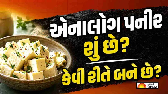 what-is-analog-paneer-how-analog-cheese-is-made-and-is-it-safe-to-eat