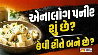 Analog Paneer: સસ્તું પનીર ખરીદતા પહેલા ચેતજો! અસલી અને એનાલોગ પનીર વચ્ચેનો તફાવત આ રીતે ઓળખો
