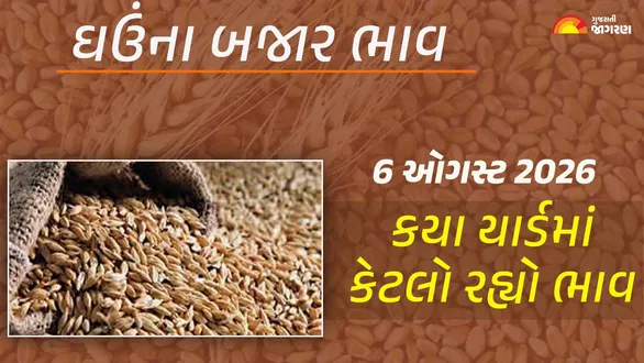wheat-prices-in-gujarat-6-august-2026-today-mandi-bhav-regional-apmc-rates-market-trends-live-updates