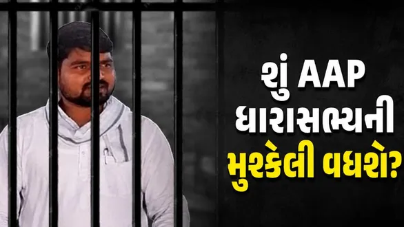aap-mla-chaitar-vasava-extortion-case-gujarat-high-court-hearing-adjourned