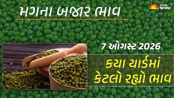 green-gram-prices-in-gujarat-7-august-2026-today-moong-mandi-bhav-regional-apmc-rates-market-trends-live-updates
