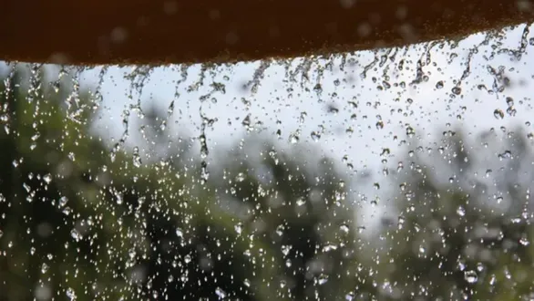 mahisagar-rainfall-report-13-august-2026-kadana-virpur-highest-rainfall