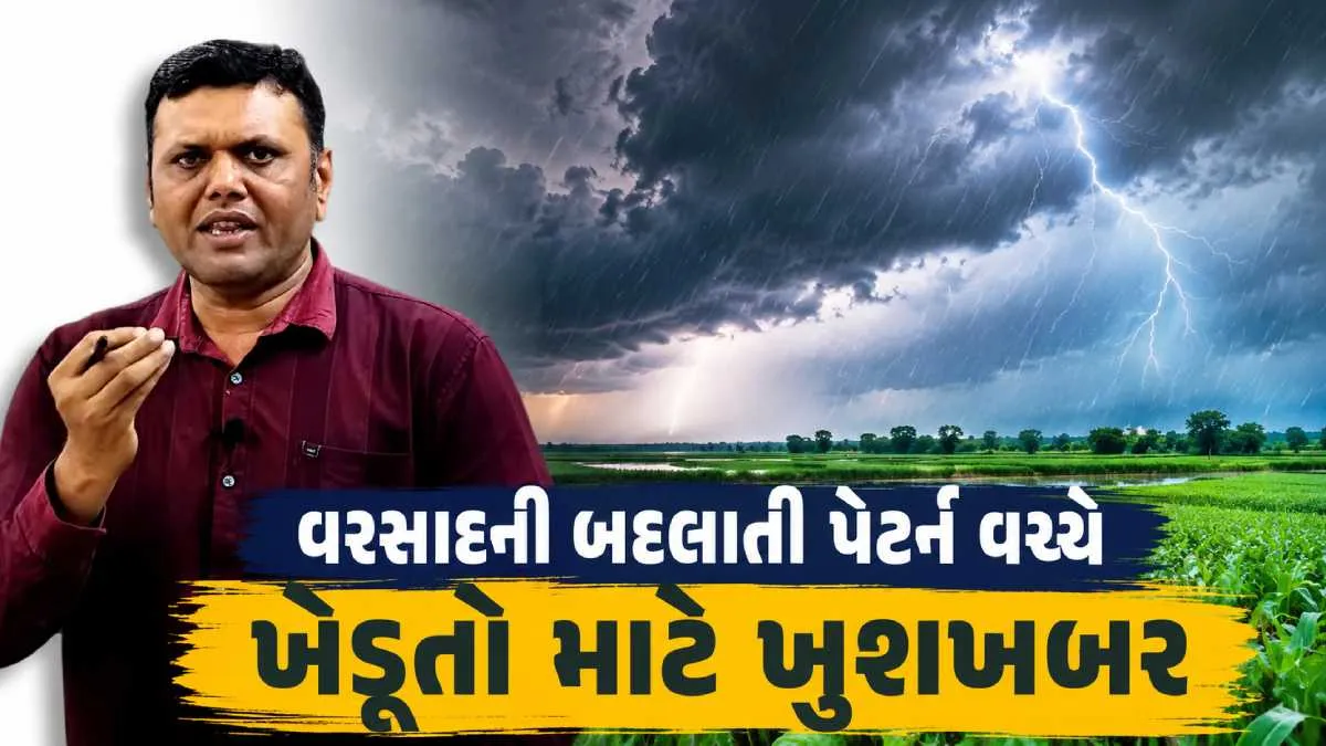 પરેશ ગોસ્વામીની આગાહી: 26 ઓગસ્ટથી ગુજરાતમાં ભારે વરસાદની શક્યતા