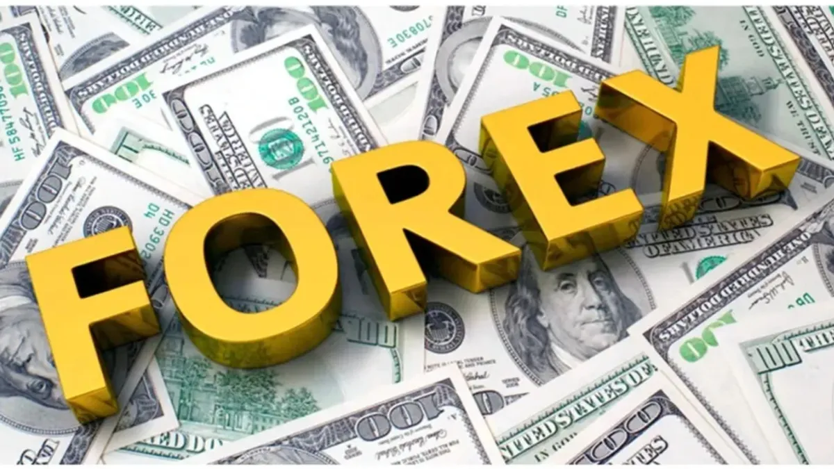 Forex Reserves:દેશનું વિદેશી હૂંડિયામણ 14.14 અબજ ડોલર વધી 707 અબજ ડોલરને પાર થયું