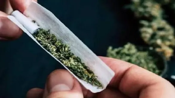 ahmedabad-sog-hybrid-ganja-23-52-lakh-672-gram-krishnanagar