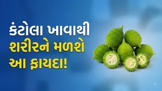 Kantola Benefits: ચોમાસામાં મળતા કંટોલા માત્ર સ્વાદિષ્ટ જ નહીં, સ્વાસ્થ્ય માટે પણ છે ફાયદાકારક, જાણો તેના 7 મોટા ફાયદા
