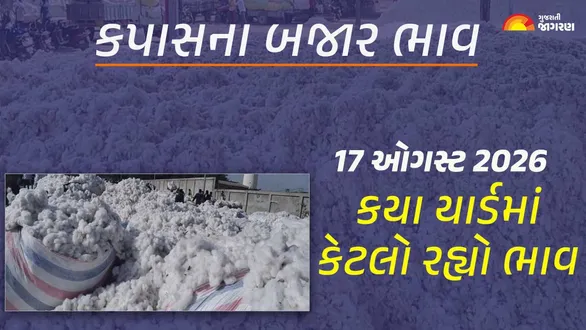 cotton-market-price-gujarat-to-day-17-august-2026-kapas-rate-live-updates