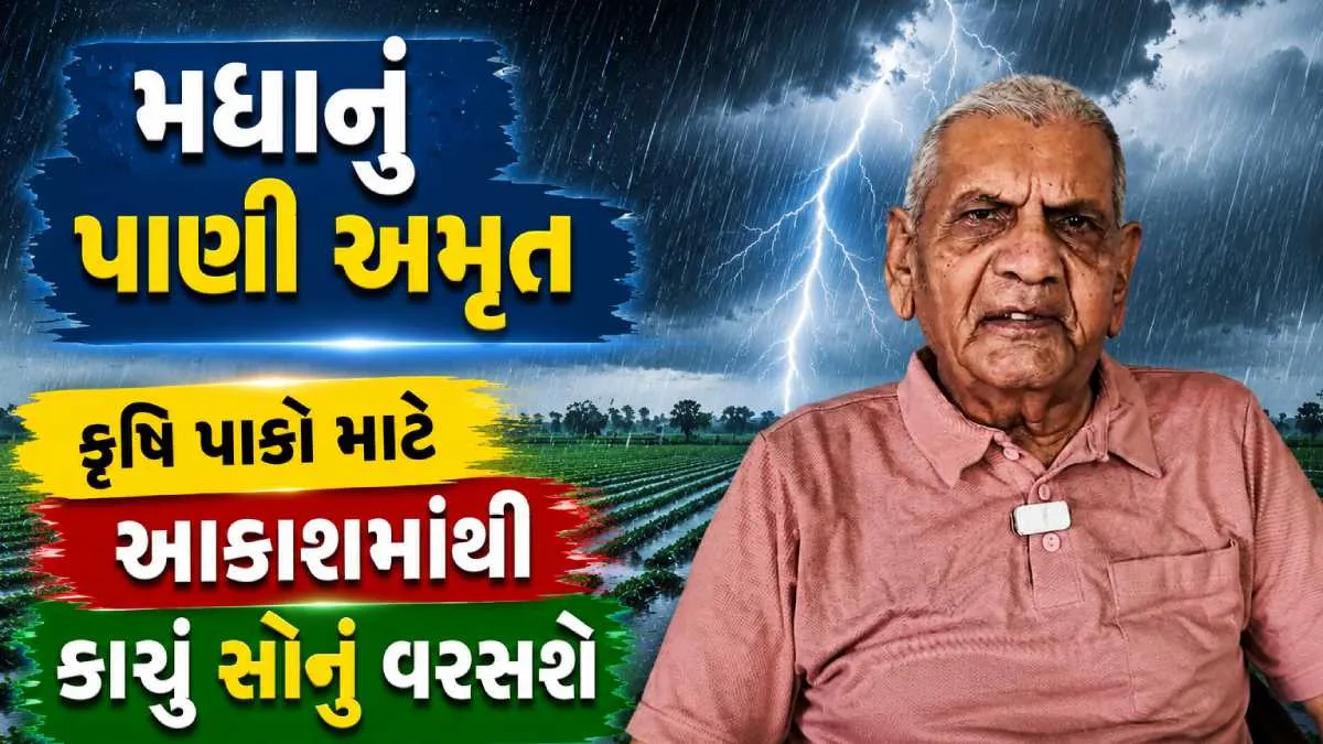 અંબાલાલ પટેલની આગાહી: 27 થી 30 ઓગસ્ટ ગુજરાતમાં ભારે વરસાદ