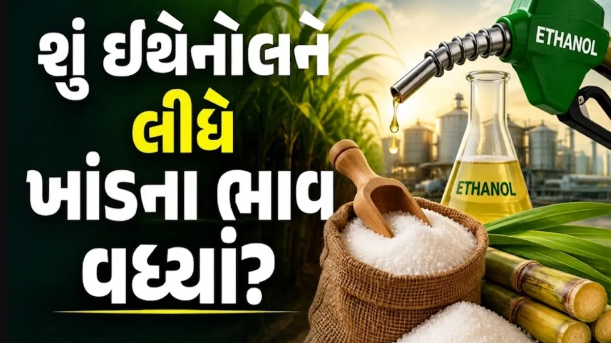 Sugar Price And Fact:શું ઈથેનોલને લીધે ખાંડની કિંમતોમાં ઉછાળો આવ્યો? મોદી સરકારે આ અંગે કરી સ્પષ્ટતા