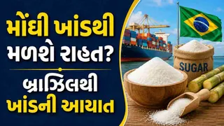 Sugar Import Brazil: શું ખાંડ સસ્તી થશે? બ્રાઝિલથી આવી રહ્યા છે ખાંડ ભરેલા મોટા જહાજો, 15 ઓક્ટોબર પહેલાં પહોંચી શકે છે પ્રથમ ખેપ