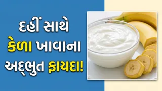 દહીં અને કેળા એકસાથે ખાવા કેટલા ફાયદાકારક? જાણો શરીરને મળતા આ 5 મહત્વના પોષક ફાયદા