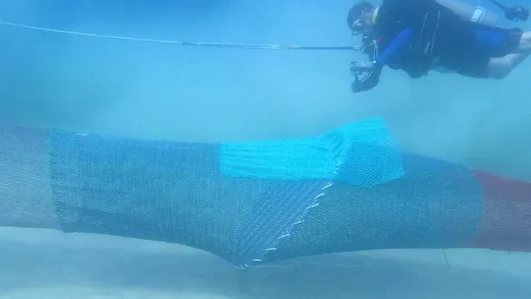 gujarat-fishers-to-adopt-turtle-excluder-devices-to-protect-marine-turtles