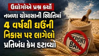 Wheat prices:ખાંડ-ડુંગળી બાદ ઘઉં મોંઘા થવા લાગ્યા;4 વર્ષથી લાગેલો નિકાસ પ્રતિબંધ હટાવતા કિંમતમાં ઉછાળો