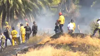 US Plane Crash: કેલિફોર્નિયામાં નાનું પ્લેન ક્રેશ, 2 લોકોના મોત; અન્ય 2 ગંભીર રીતે ઘાયલ