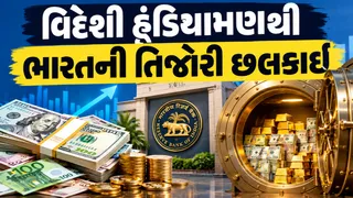 India's Forex Reserve:ભારતનું વિદેશી હૂંડિયામણે રેકોર્ડ બનાવ્યો; એક જ સપ્તાહમાં 44.9 અબજ ડોલરનો ઉછાળો આવ્યો