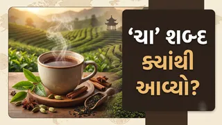 Tea History: ચા તો રોજ પીવો છો, પણ તેનું નામ ક્યાંથી આવ્યું એ ખબર છે? જાણો રસપ્રદ વાત
