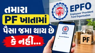 EPF Passbook:દર મહિને પગારમાંથી PF કપાય પણ તમારા ખાતામાં જમા થાય છે કે નહીં? તપાસ કરવાનું ભૂલશો નહીં