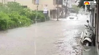 Panchmahal Rain Report: પંચમહાલ જિલ્લામાં મેઘરાજાની સાંબેલાધાર પધરામણી, ગોધરામાં સવારે 2 કલાકમાં સવા ત્રણ ઈંચથી વધુ વરસાદ