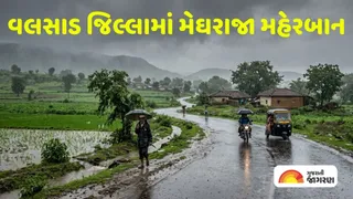 Valsad Rain Report: વલસાડ જિલ્લામાં મેઘમહેર, કપરાડામાં રાજ્યનો સૌથી વધુ 4.45 ઈંચ વરસાદ; જાણો તમામ તાલુકાના વરસાદી આંકડા