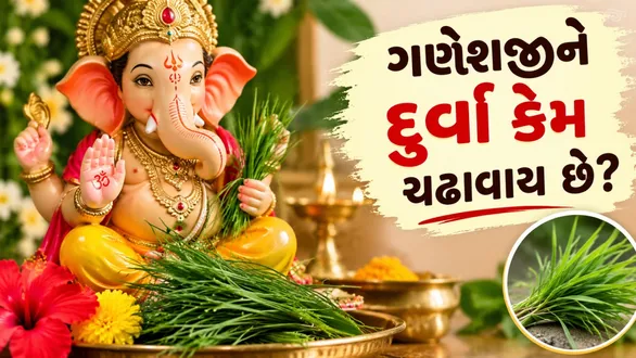why-durva-is-offered-to-lord-ganesha-religious-and-scientific-reasons