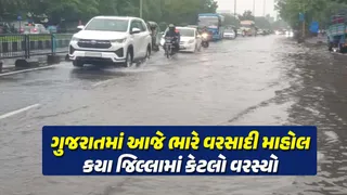 Gujarat Rain: ગુજરાતમાં સવારથી મેઘાની ધોધમાર જમાવટ, સાંજે 6 વાગ્યા સુધીમાં 250 તાલુકામાં વરસ્યો, જાણો જિલ્લાવાર વરસાદનું લેટેસ્ટ અપડેટ