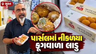સુરત: ગણેશ ચતુર્થીએ ઓનલાઈન મંગાવેલા લાડુ પર નીકળી ફૂગ, ફરિયાદ થતા બ્લિંકિટના આઉટલેટ પર ફૂડ વિભાગની તપાસ