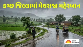 Kutch Rain Report: કચ્છ જિલ્લાના અંજારમાં રાજ્યનો સૌથી વધુ 7.24 ઈંચ વરસાદ; ગાંધીધામ-ભચાઉમાં પણ 4 ઈંચથી વધુ ખાબક્યો
