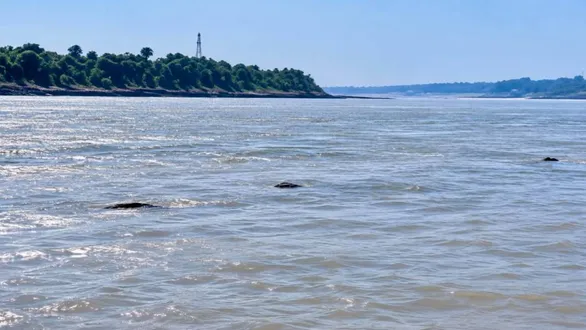hiran-river-overflowing-due-to-heavy-upstream-rains-revives-crops-in-sitpur-and-dabhoi