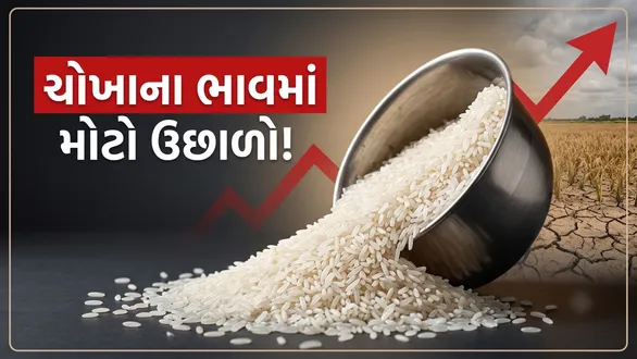 rice-price-hike-due-to-low-rainfall-and-global-demand-impact-on-consumers