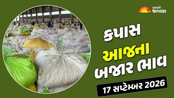 cotton-price-today-in-gujarat-17-september-2026-latest-kapas-mandi-market-rates
