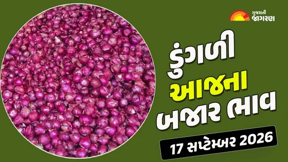 onion-price-today-in-gujarat-apmc-17-september-2026-aaj-na-dungli-na-bajar-bhav