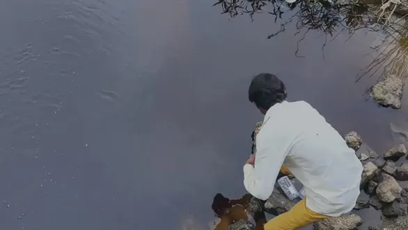 mla-dharmendrasinh-vaghelas-letter-to-the-minister-of-forest-and-environment-against-dumping-of-chemically-contaminated-water-in-the-vishwamitri-river-near-hansapura