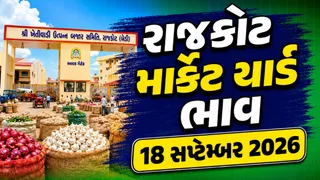 Rajkot Market Yard Bhav Today: રાજકોટ APMC માં કપાસ અને મગફળીમાં આવક સાથે ભાવમાં ફેરફાર, જુઓ આજના તમામ જણસીના ભાવ