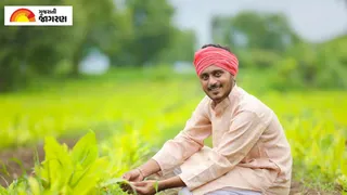 પીએમ કિસાન યોજનાના લાભાર્થીઓને મળશે કિસાન ક્રેડિટ કાર્ડ: કેન્દ્રીય કૃષિ મંત્રીએ રાજ્યો સાથે રોડમેપ તૈયાર કરવા હાકલ કરી