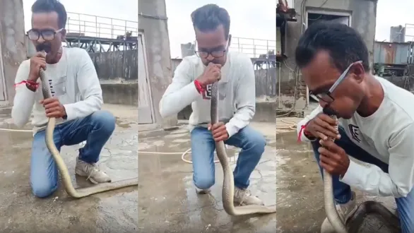 viral-video-man-blows-air-into-5-foot-snakes-mouth-to-save-its-life