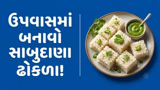 Sabudana Dhokla: ઉપવાસમાં બનાવો સોફ્ટ અને ટેસ્ટી સાબુદાણા ઢોકળા, જાણો સરળ રીત
